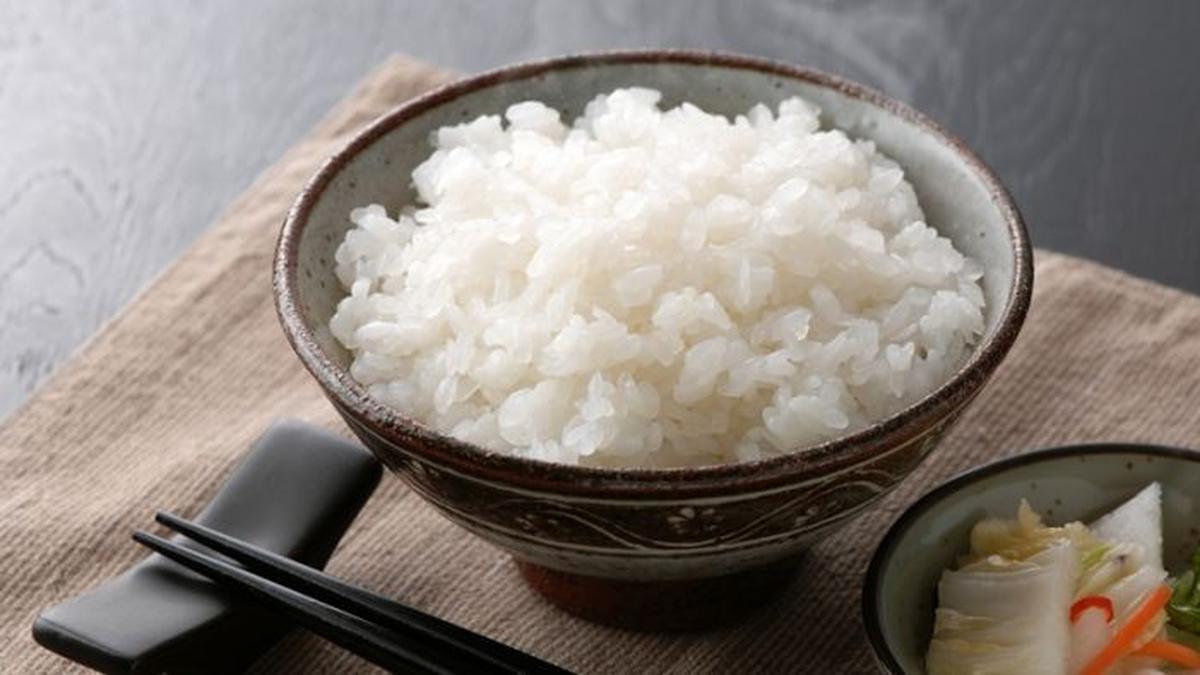 nasi-shirataki-alternatif-sehat-untuk-diet-rendah