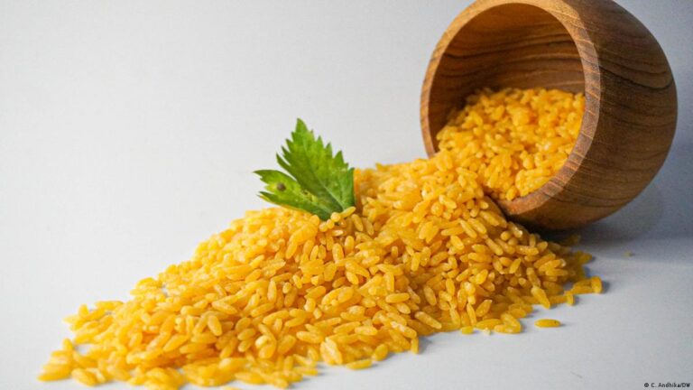 Nasi Jagung: Kekuatan Gizi yang Terlupakan