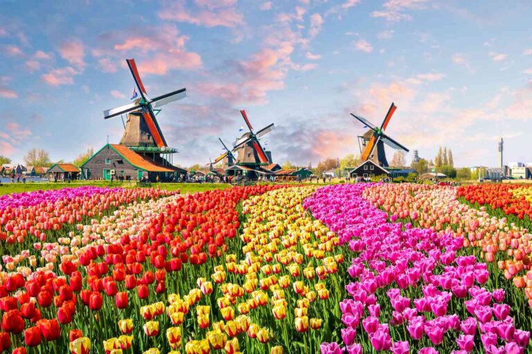 The Netherlands: A Country of Innovation, Culture Diversity