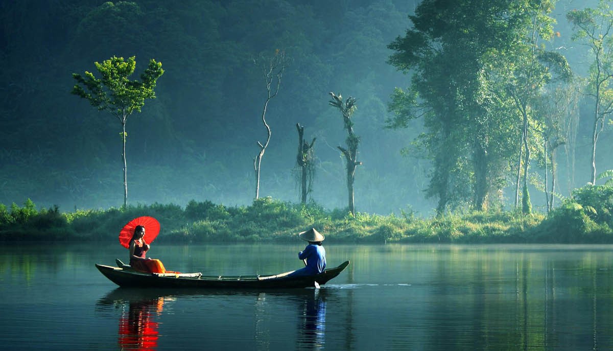 Kerala monsoon landscape with lush greenery