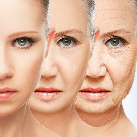 Nutrisi Anti-Aging
