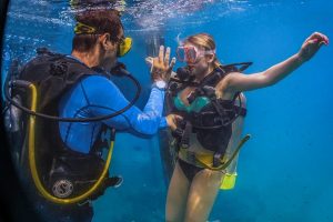 Pertama Kali Scuba Diving: Pengalaman Seru Menyelam ke Dunia Bawah Laut  Scuba