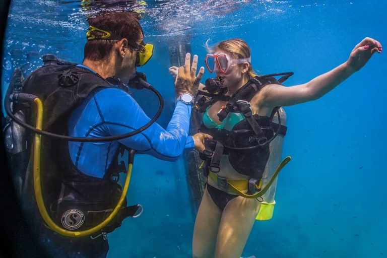 Pertama Kali Scuba Diving: Pengalaman Seru Menyelam ke Dunia Bawah Laut  Scuba