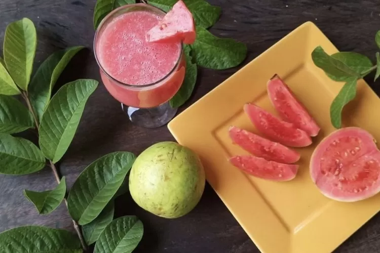 Manfaat Jambu Biji