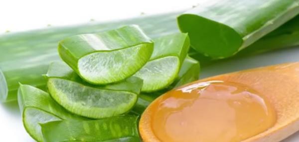 Hairmask Lidah Buaya
