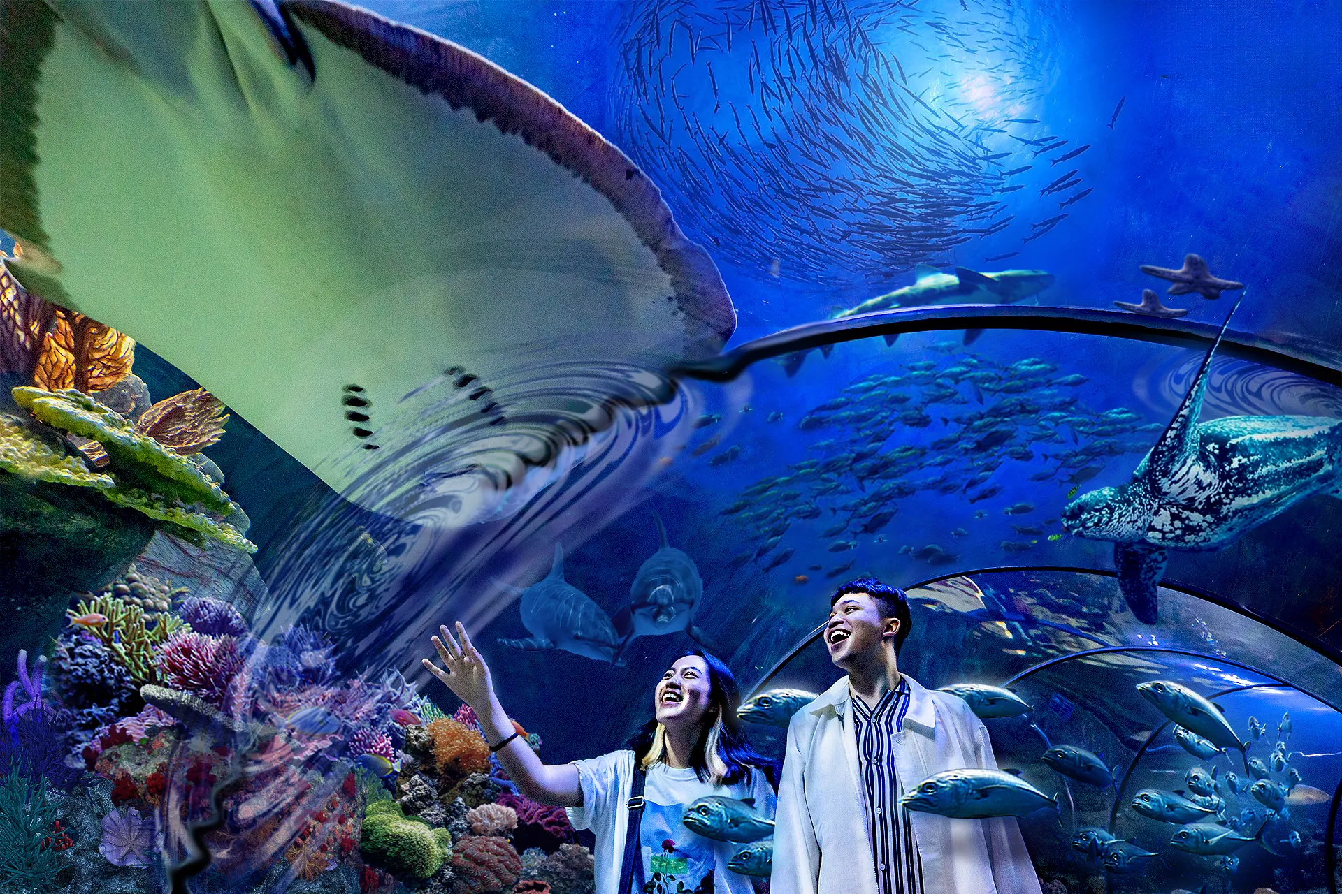 Sea World Indonesia Begitu Diminati