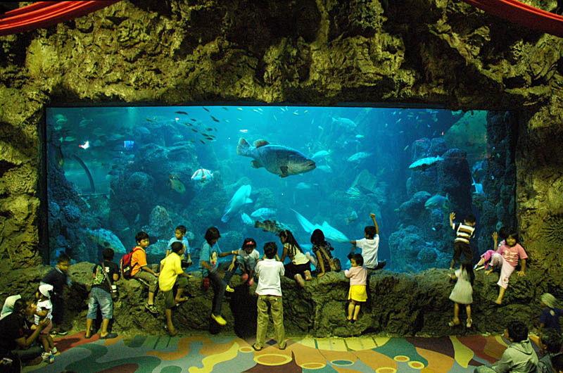 Sea World Indonesia