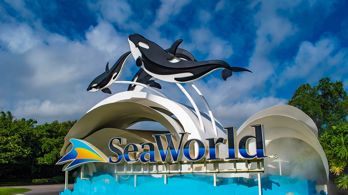 tips mengunjungi Sea World Indonesia