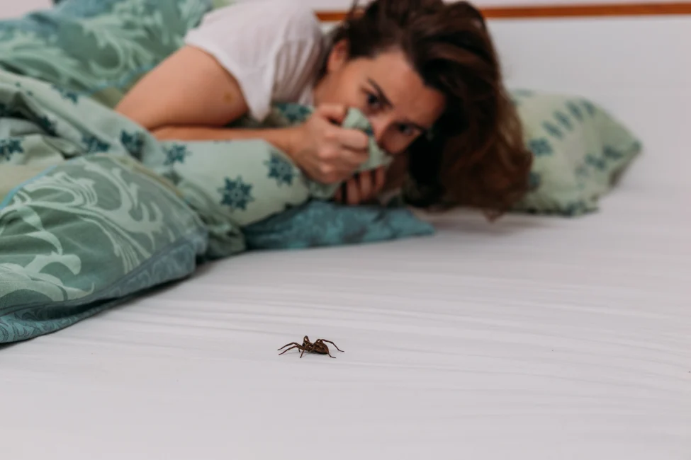 Memahami Akar Entomophobia Ketakutan pada Serangga