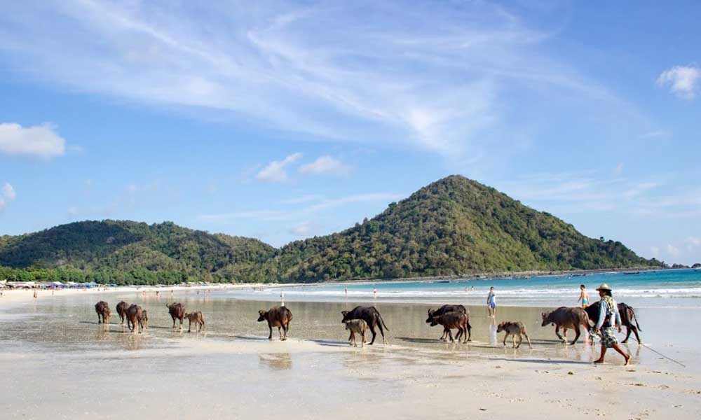 Keindahan Alam Pantai Selong Belanak yang Masih Alami dan Menenangkan
