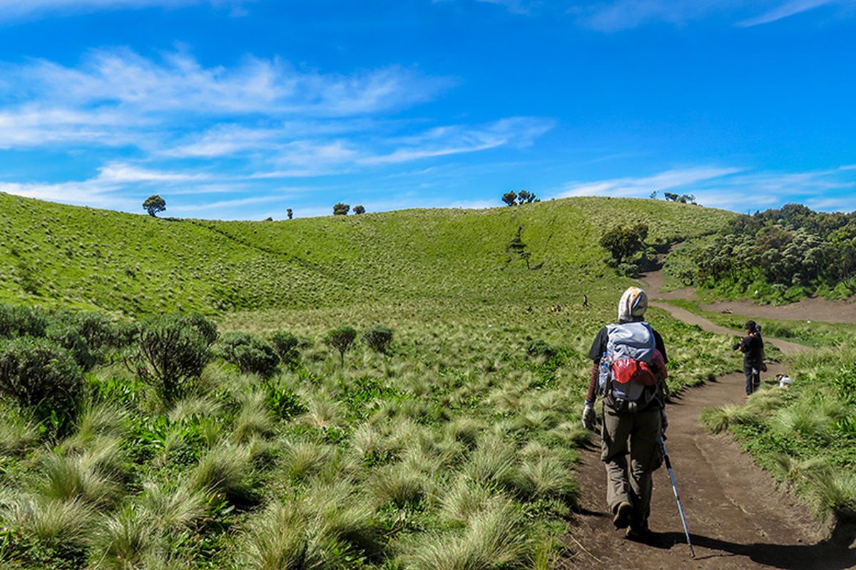 Daya Tarik Gunung Merbabu yang Membuat Pendaki Terpikat